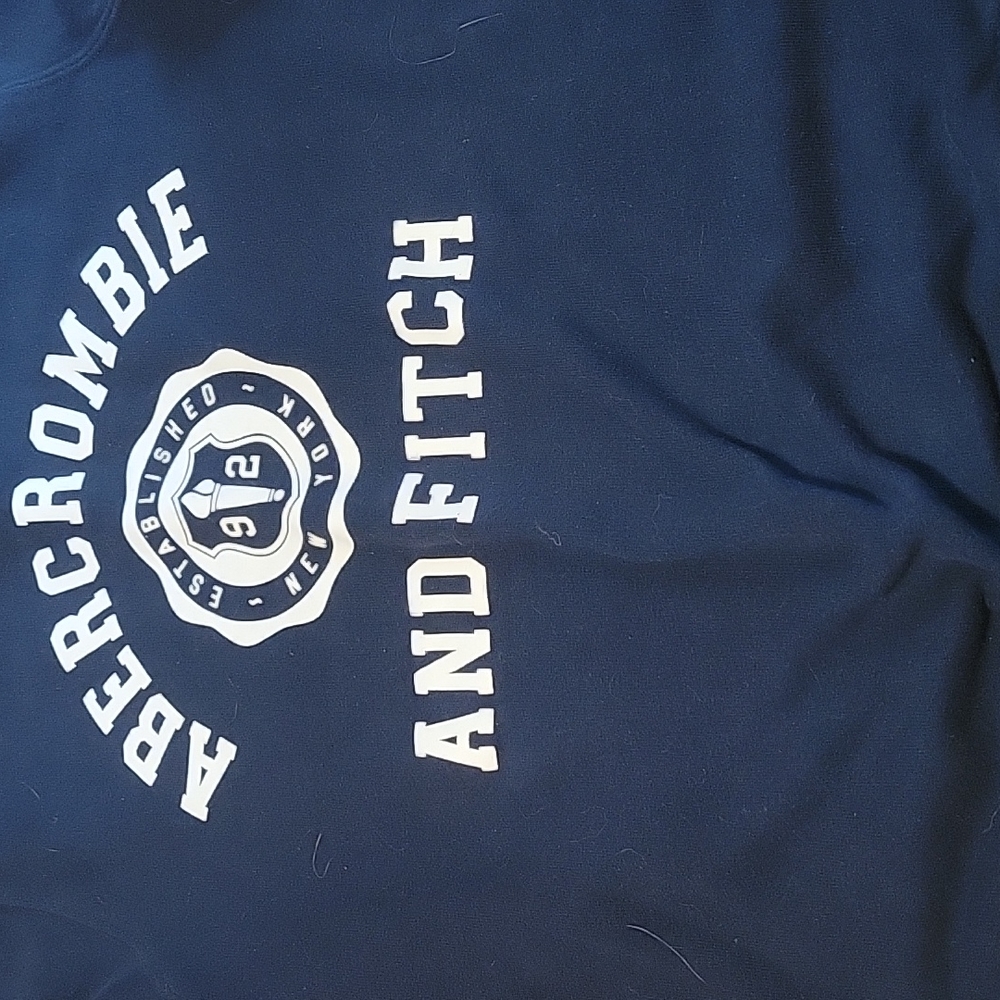 Abercrombie and Fitch Sweatshirt